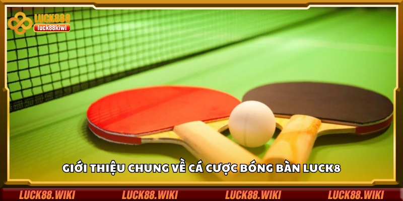 Tìm hiểu chung về cá cược bóng bàn Luck8