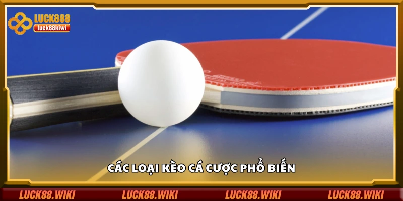 Một số loại kèo cá cược phổ biến