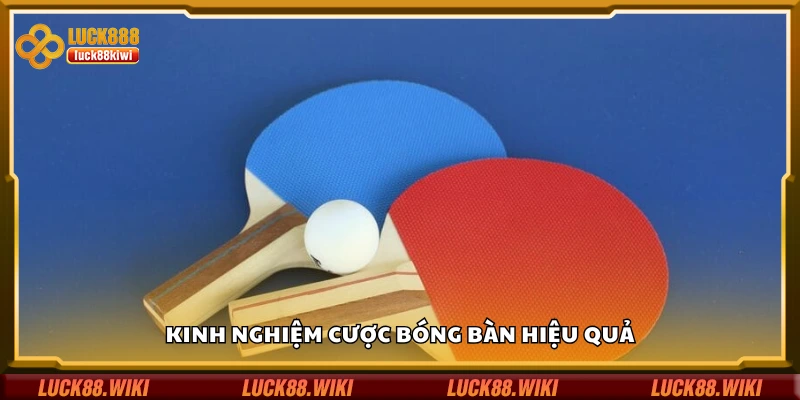 Chia sẻ kinh nghiệm cược bóng bàn hiệu quả