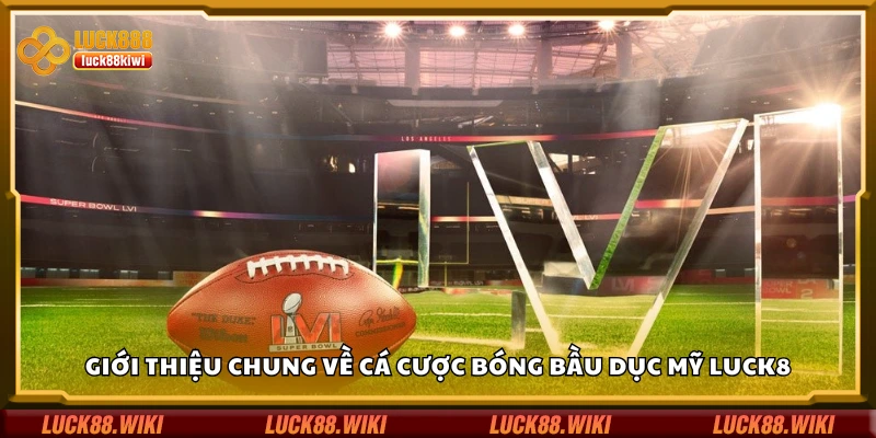 Thông tin chung về cá cược bóng bầu dục Mỹ Luck8