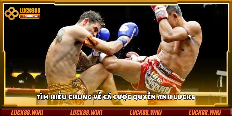 Sơ lược về cá cược quyền anh Luck8
