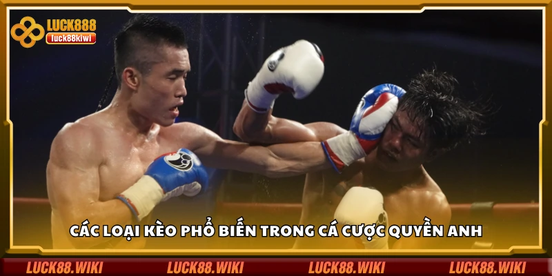 Một số loại kèo phổ biến trong cá cược quyền anh