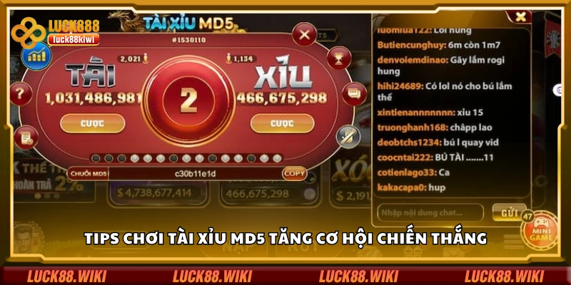 Top tips chơi tài xỉu MD5 tăng cơ hội chiến thắng