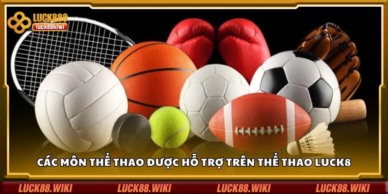 Một số môn thể thao được hỗ trợ trên thể thao Luck8