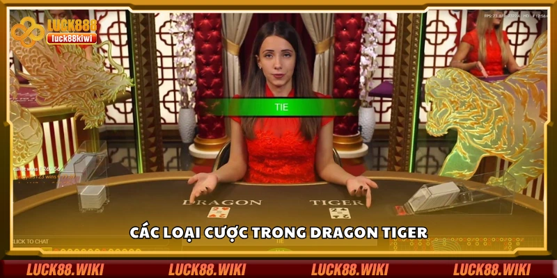 Một số loại cược trong Dragon Tiger